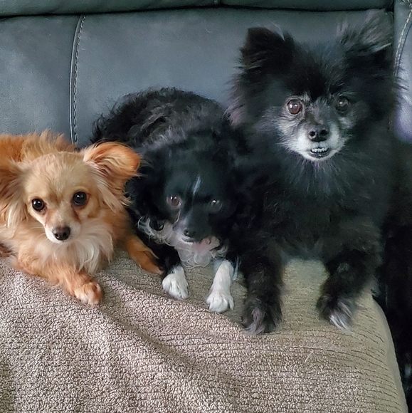 NEW Macy's CHA CHA VENTE MAXI Dress size XL - NEW WITH TAGS. CLOSET CLOSING - Picture 8 of 10